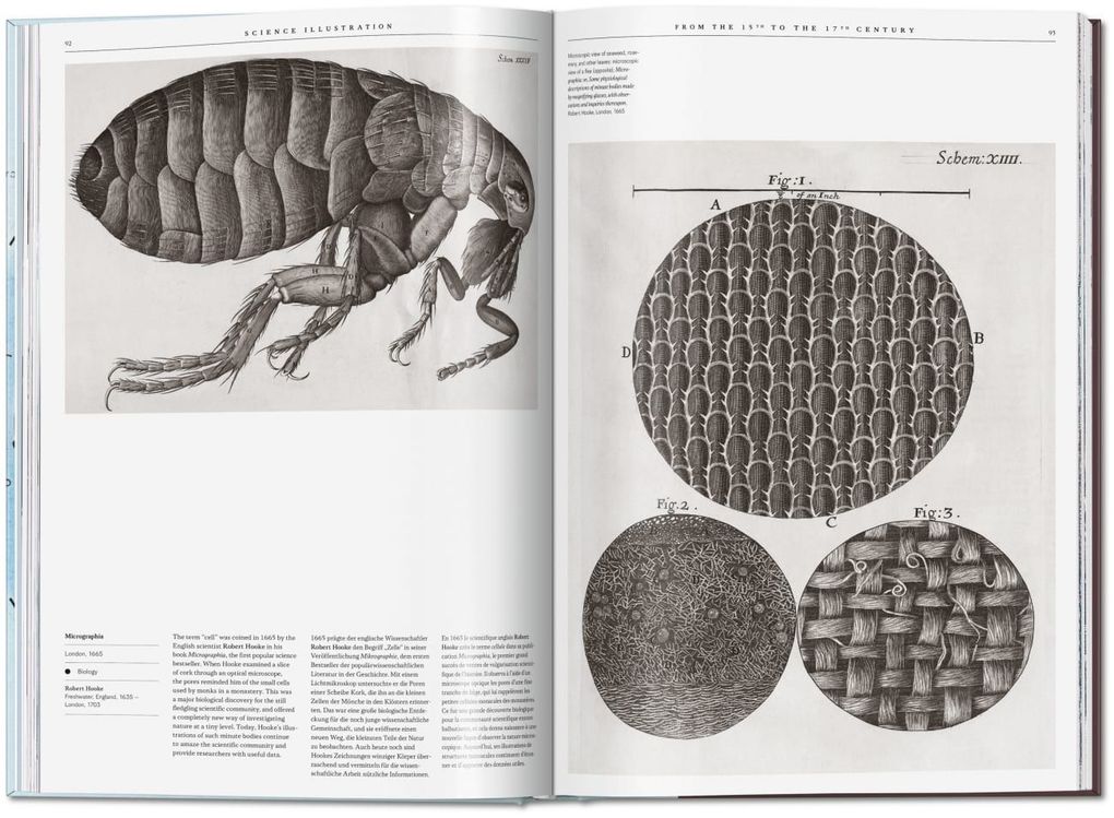 Weitere Ansicht: Science Illustration | Anna Escardó