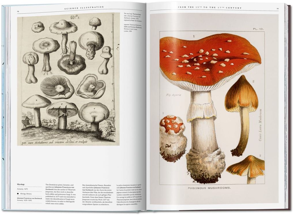 Weitere Ansicht: Science Illustration | Anna Escardó