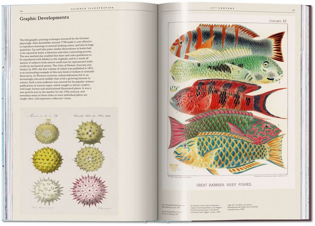 Weitere Ansicht: Science Illustration | Anna Escardó
