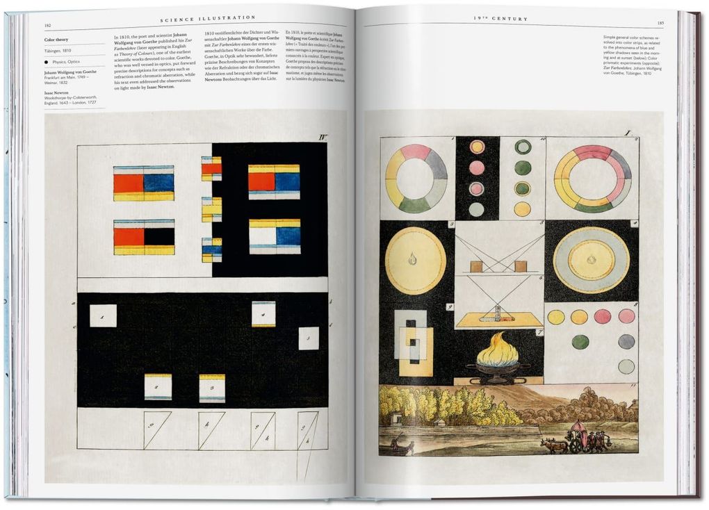 Weitere Ansicht: Science Illustration | Anna Escardó