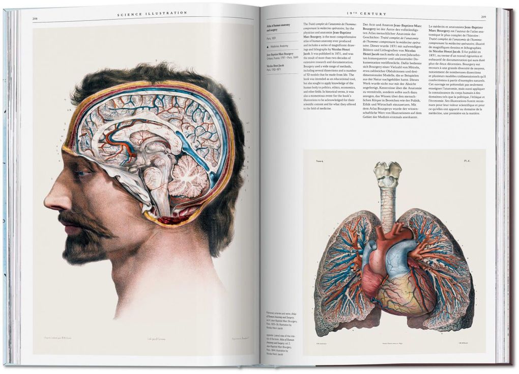 Weitere Ansicht: Science Illustration | Anna Escardó