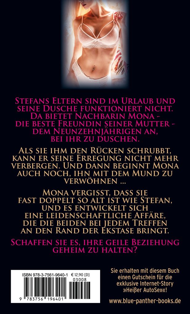 Weitere Ansicht: Die wilde Affäre - Sünde kann so schön sein | Erotischer Roman | Eric Norton