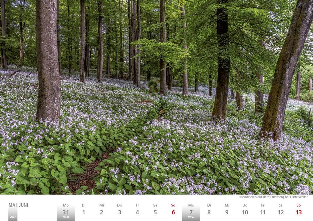 Weitere Ansicht: Rheinland 2027 Wandkalender A4 quer Spiralbindung 28 Blatt mit 56 Seiten
