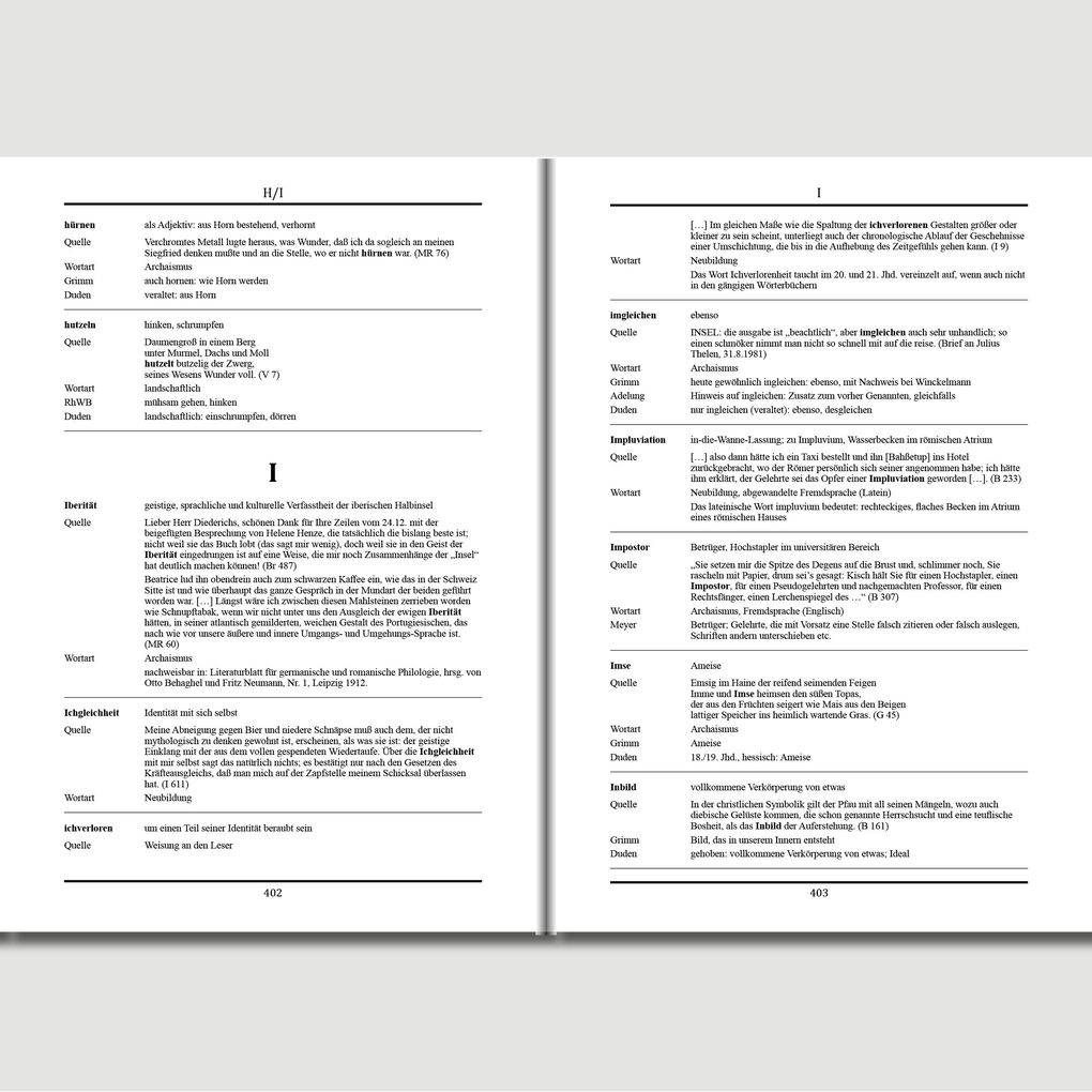 Weitere Ansicht: Das Albert Vigoleis Thelen Wörterbuch