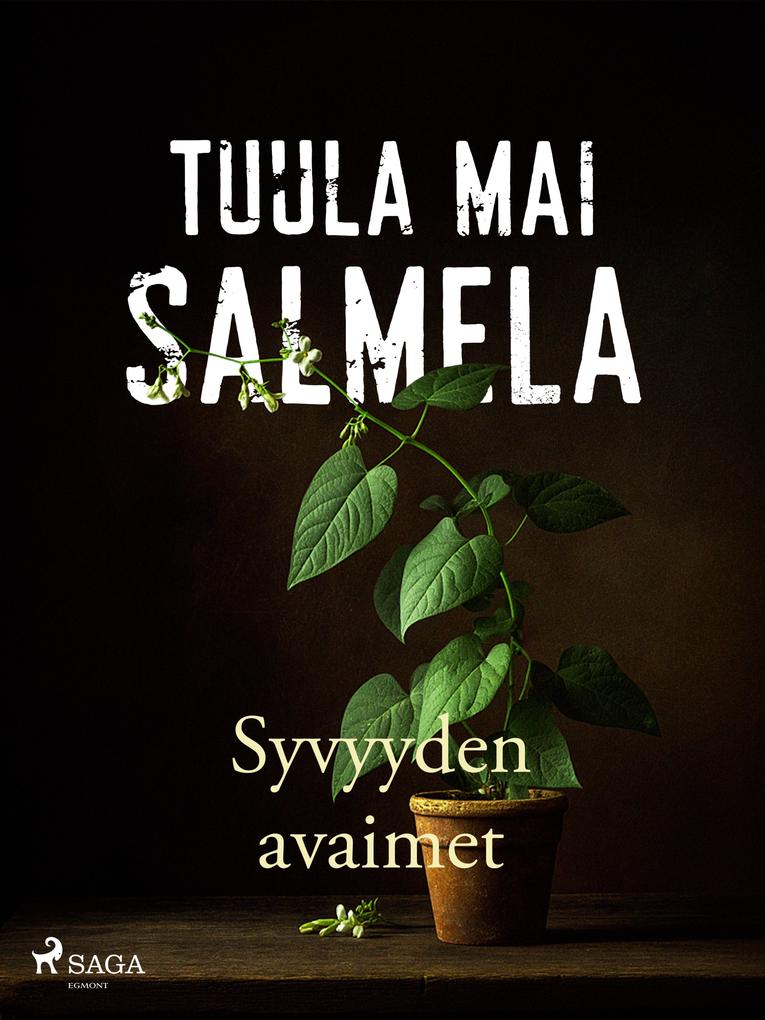 Produktbild: Syvyyden avaimet | Tuula Mai Salmela