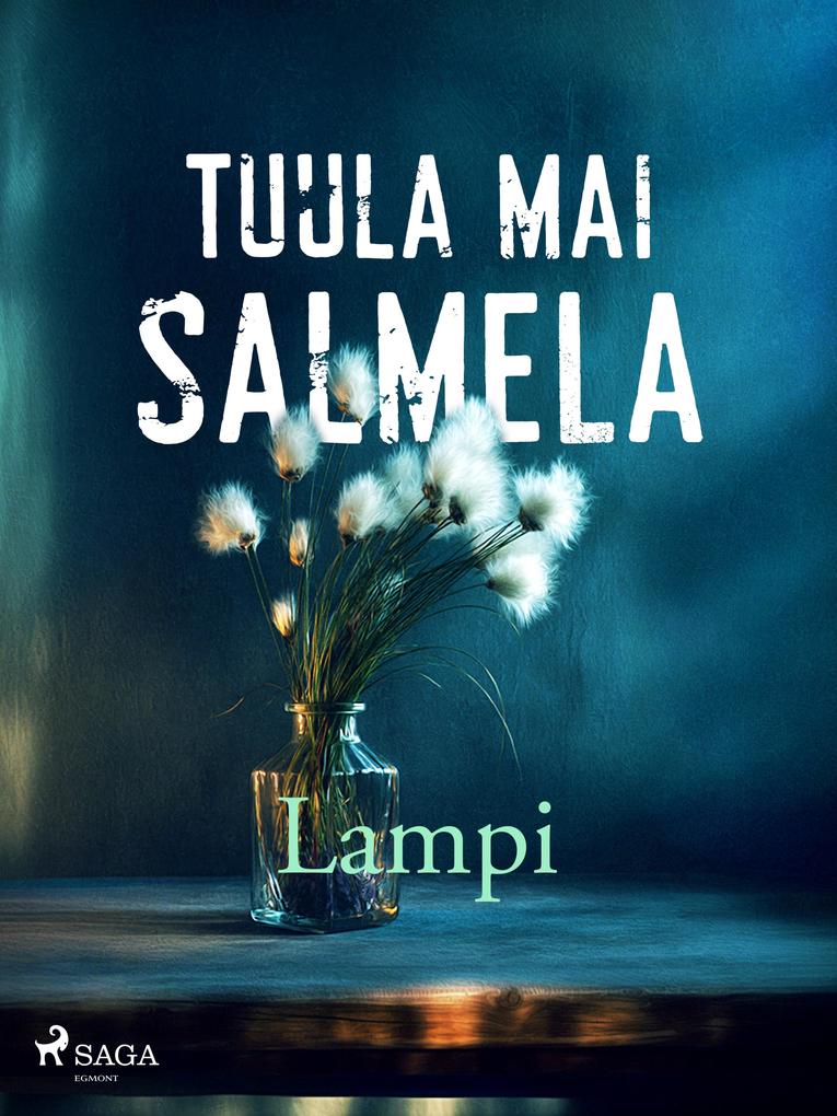 Produktbild: Lampi | Tuula Mai Salmela