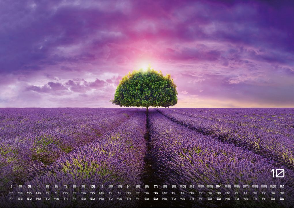 Weitere Ansicht: Provence - ein besonderes Stück Frankreich - 2027 - Kalender DIN A3