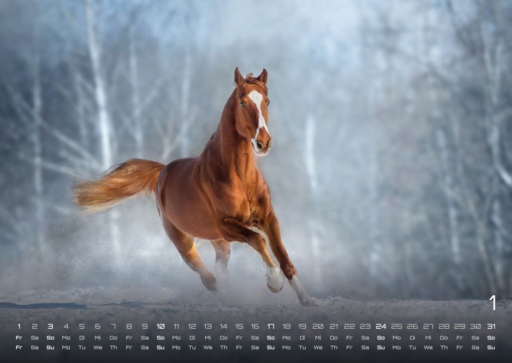Weitere Ansicht: Pferdegeflüster - Der Pferdekalender - 2027 - Kalender DIN A2
