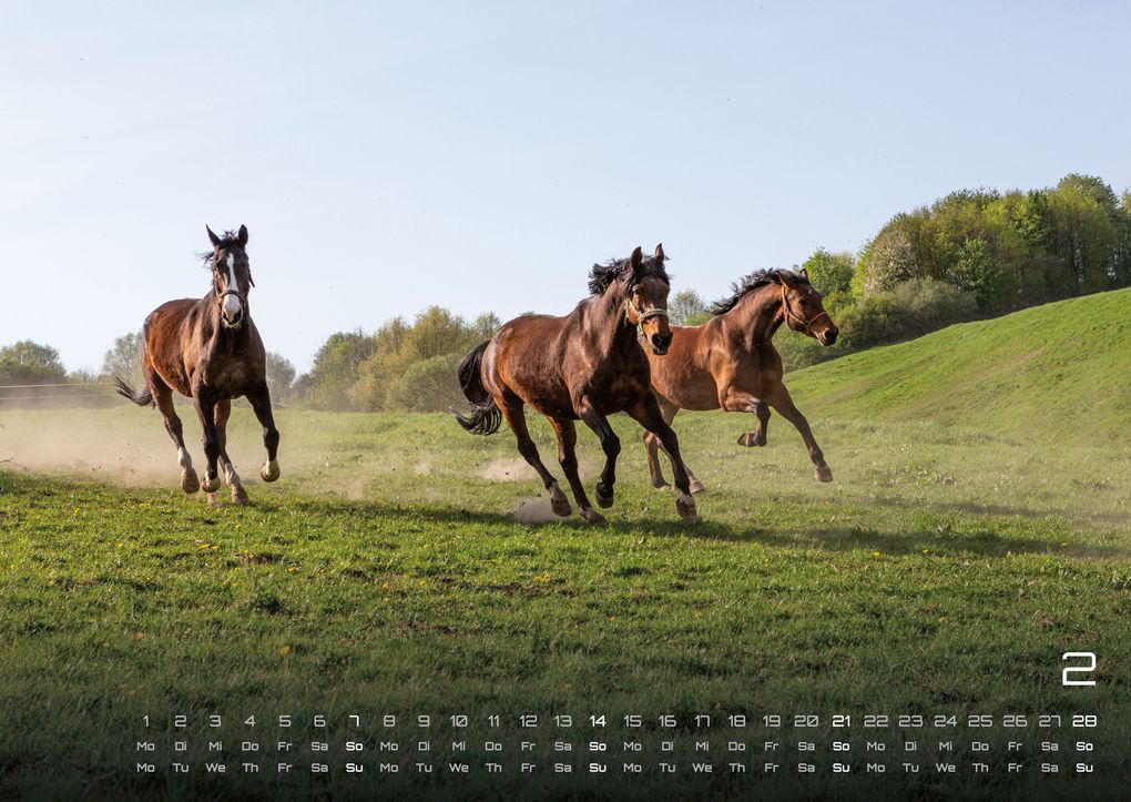 Weitere Ansicht: Pferdegeflüster - Der Pferdekalender - 2027 - Kalender DIN A2
