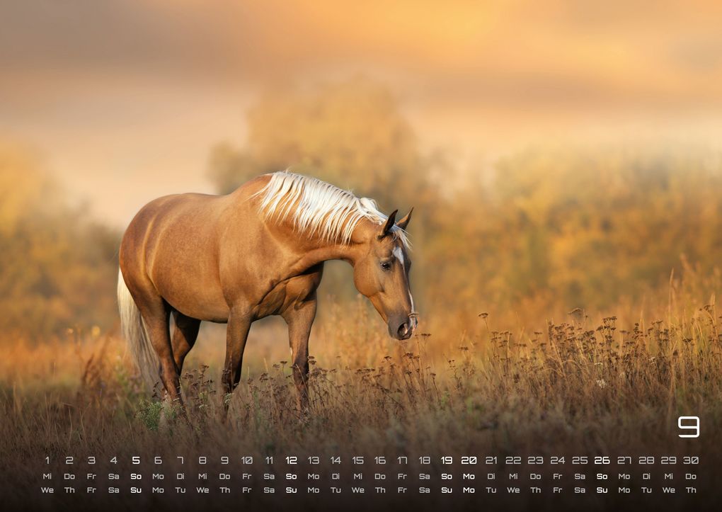 Weitere Ansicht: Pferdegeflüster - Der Pferdekalender - 2027 - Kalender DIN A2
