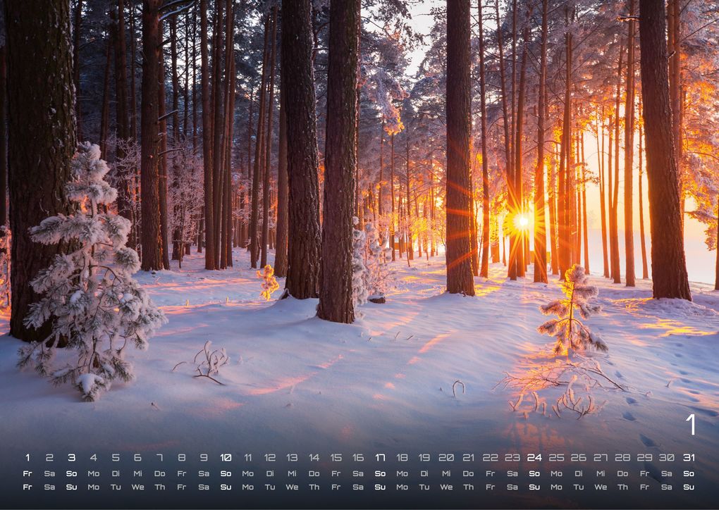 Weitere Ansicht: Wald - Erholung für Mensch und Tier - 2027 - Kalender DIN A3