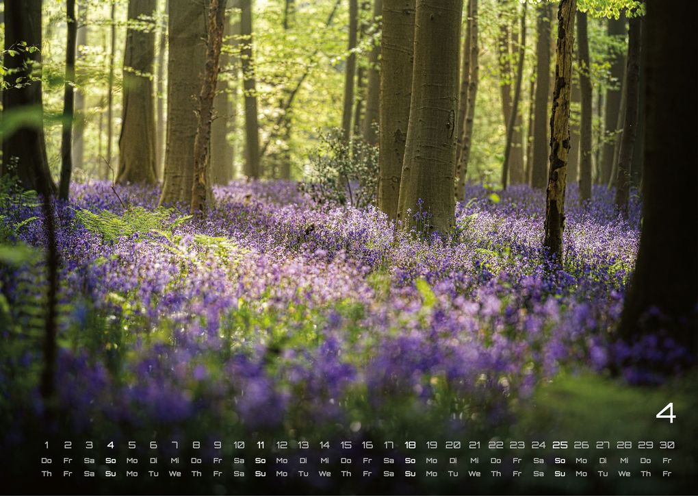 Weitere Ansicht: Wald - Erholung für Mensch und Tier - 2027 - Kalender DIN A3