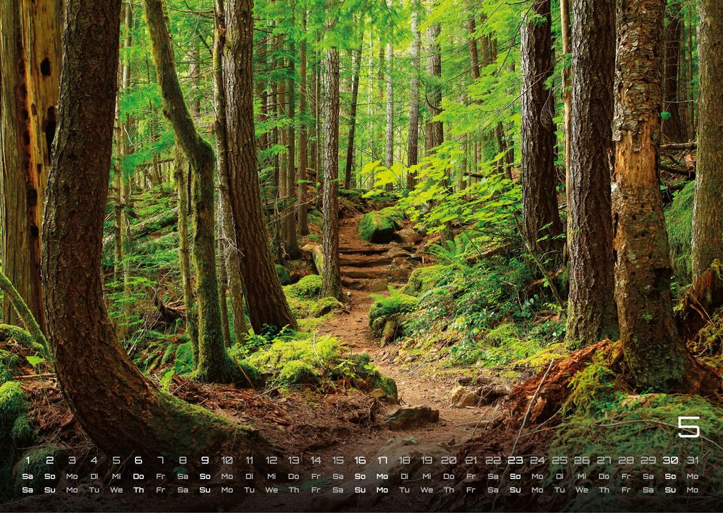 Weitere Ansicht: Wald - Erholung für Mensch und Tier - 2027 - Kalender DIN A3