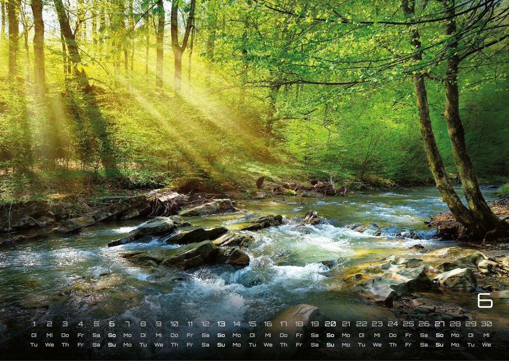 Weitere Ansicht: Wald - Erholung für Mensch und Tier - 2027 - Kalender DIN A3