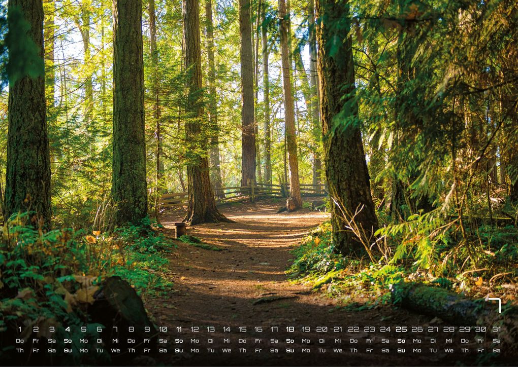 Weitere Ansicht: Wald - Erholung für Mensch und Tier - 2027 - Kalender DIN A3