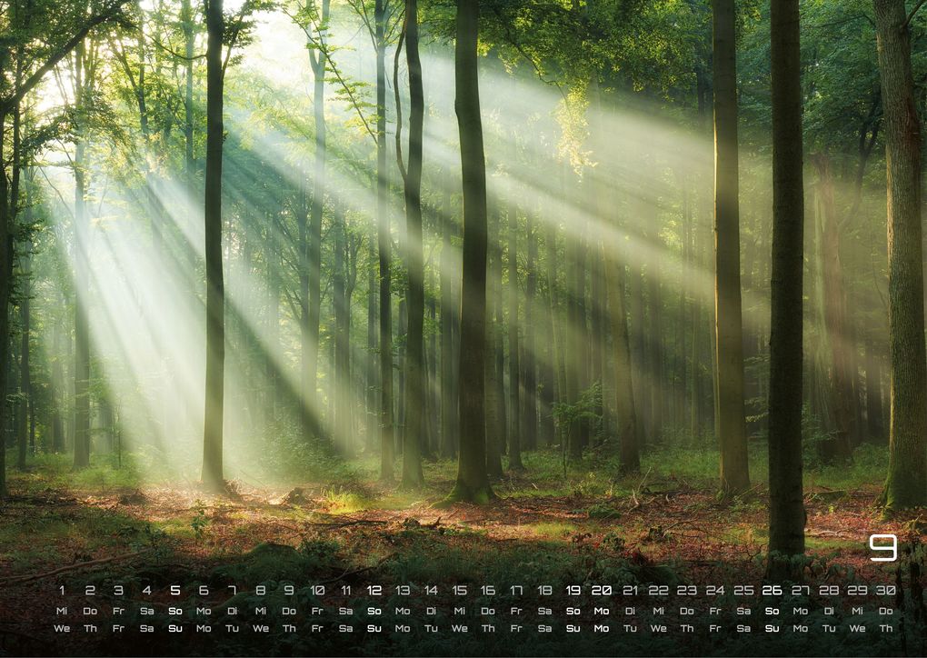 Weitere Ansicht: Wald - Erholung für Mensch und Tier - 2027 - Kalender DIN A3