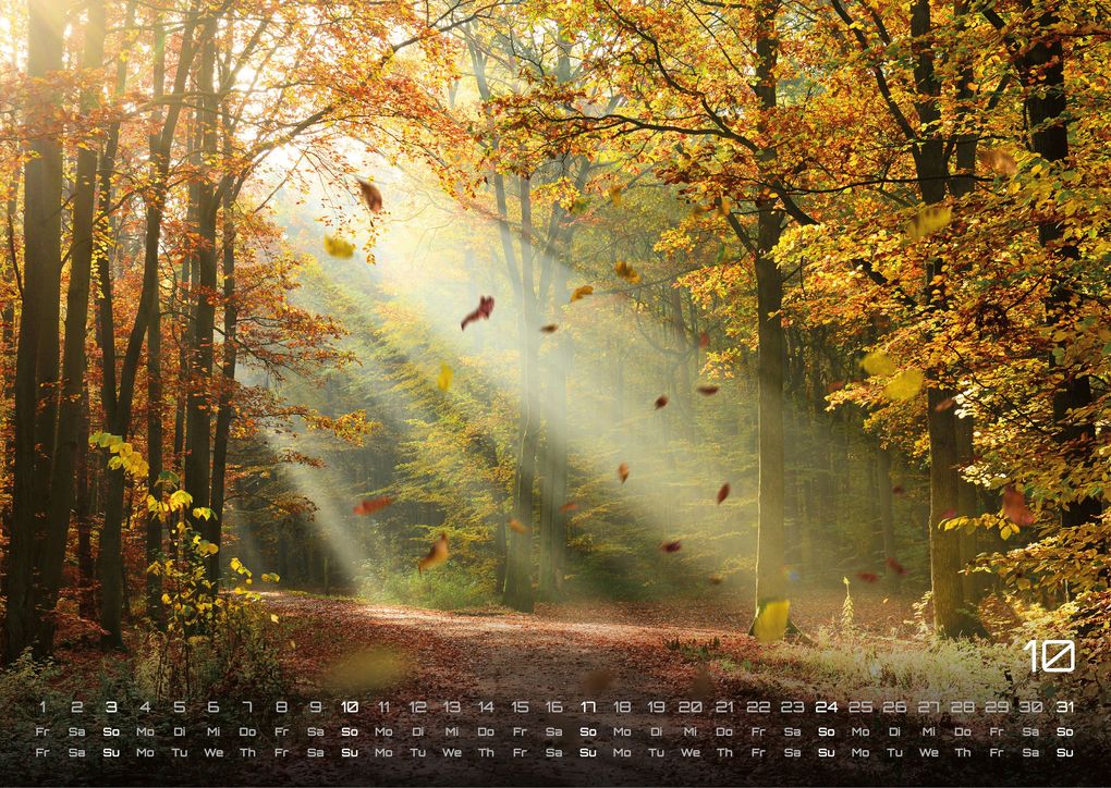 Weitere Ansicht: Wald - Erholung für Mensch und Tier - 2027 - Kalender DIN A3