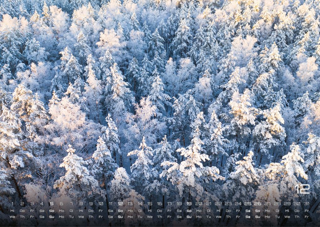 Weitere Ansicht: Wald - Erholung für Mensch und Tier - 2027 - Kalender DIN A3