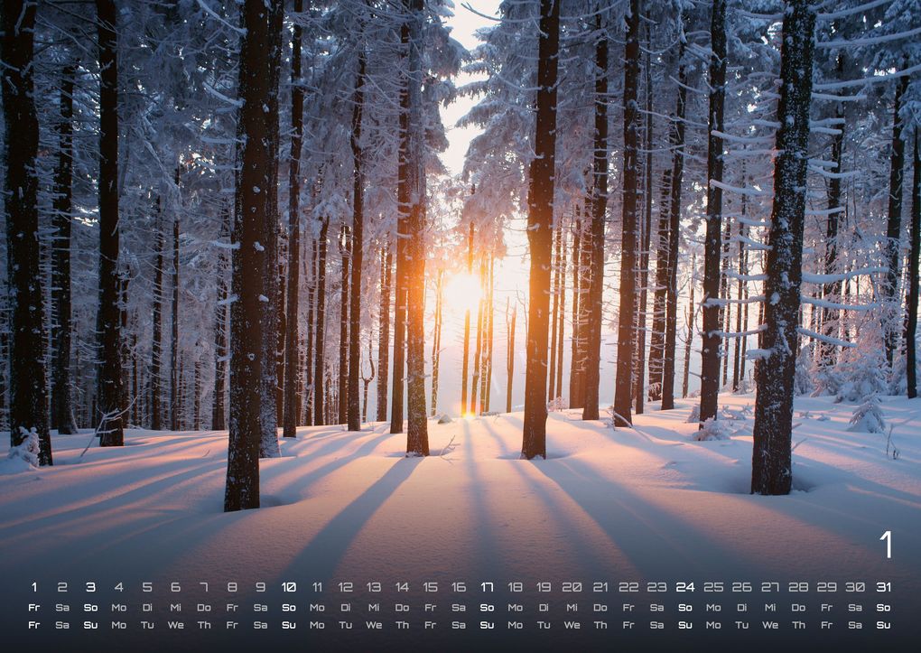 Weitere Ansicht: Moments - wundervolle Momentaufnahmen - 2027 - Kalender DIN A2