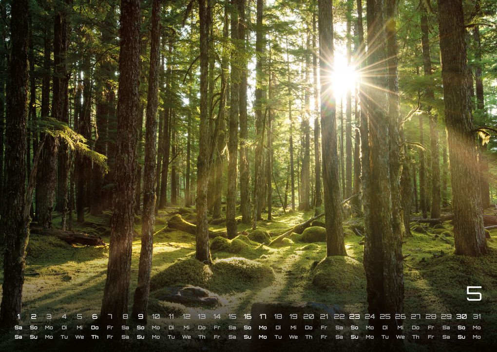 Weitere Ansicht: Moments - wundervolle Momentaufnahmen - 2027 - Kalender DIN A2