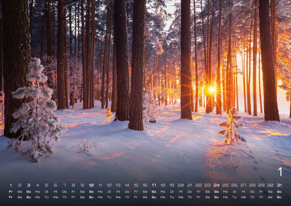 Weitere Ansicht: Wald - Erholung für Mensch und Tier - 2027 - Kalender DIN A2