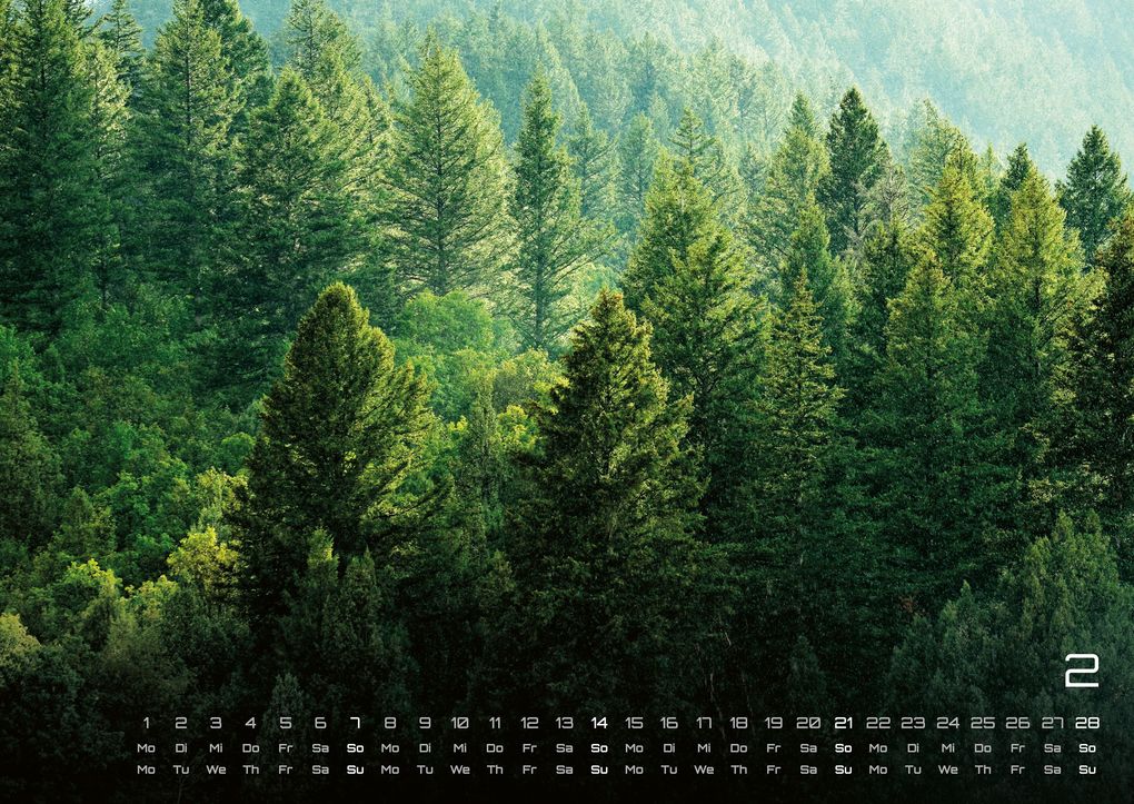 Weitere Ansicht: Wald - Erholung für Mensch und Tier - 2027 - Kalender DIN A2