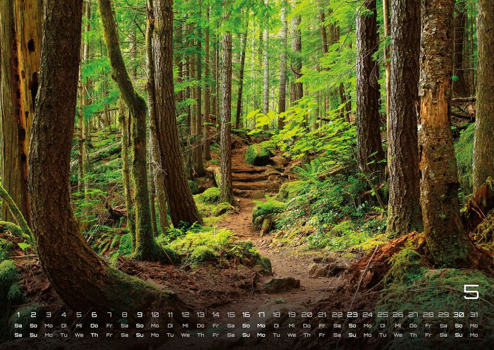 Weitere Ansicht: Wald - Erholung für Mensch und Tier - 2027 - Kalender DIN A2