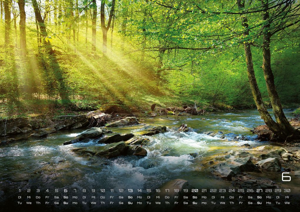 Weitere Ansicht: Wald - Erholung für Mensch und Tier - 2027 - Kalender DIN A2