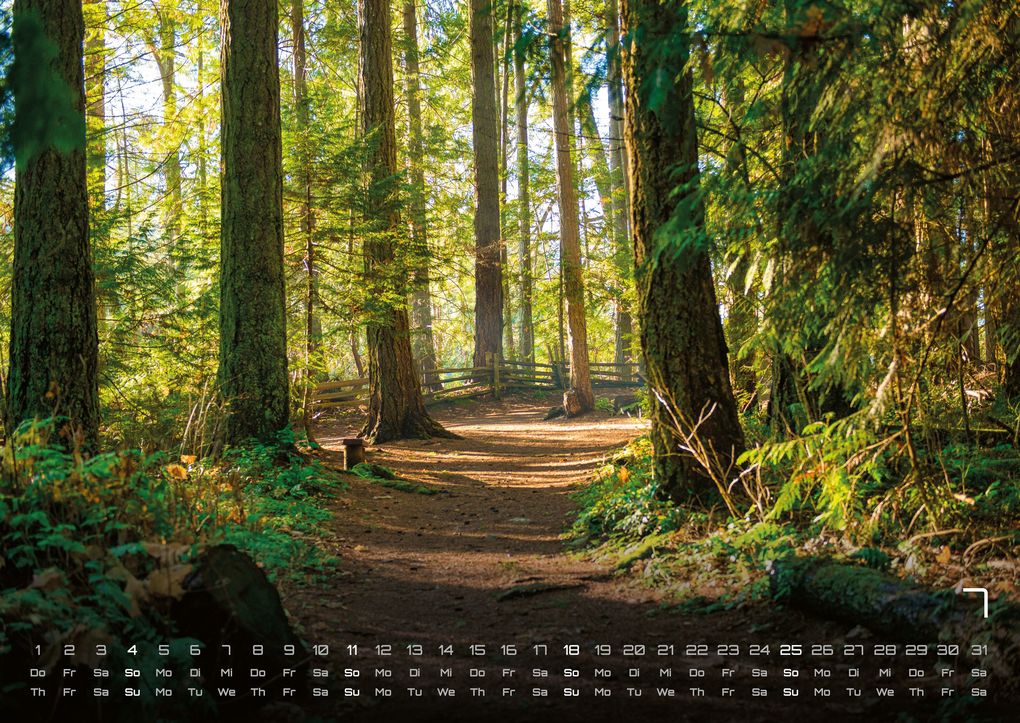 Weitere Ansicht: Wald - Erholung für Mensch und Tier - 2027 - Kalender DIN A2