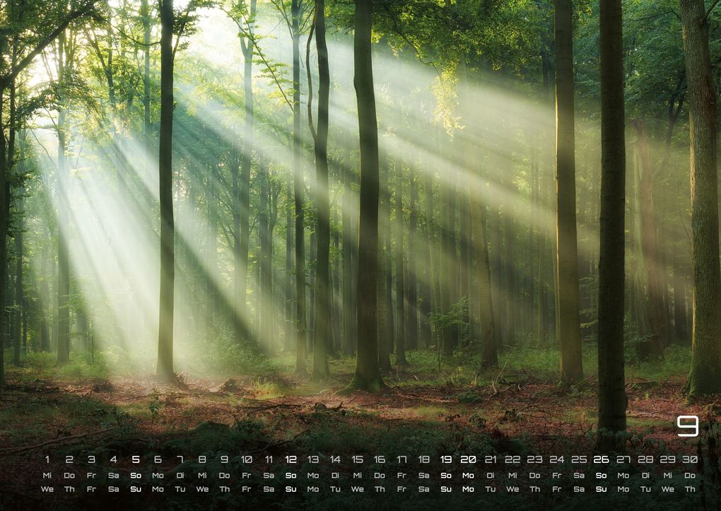 Weitere Ansicht: Wald - Erholung für Mensch und Tier - 2027 - Kalender DIN A2