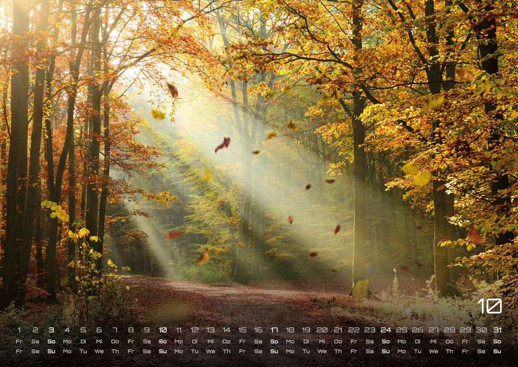 Weitere Ansicht: Wald - Erholung für Mensch und Tier - 2027 - Kalender DIN A2