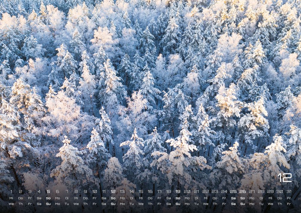 Weitere Ansicht: Wald - Erholung für Mensch und Tier - 2027 - Kalender DIN A2