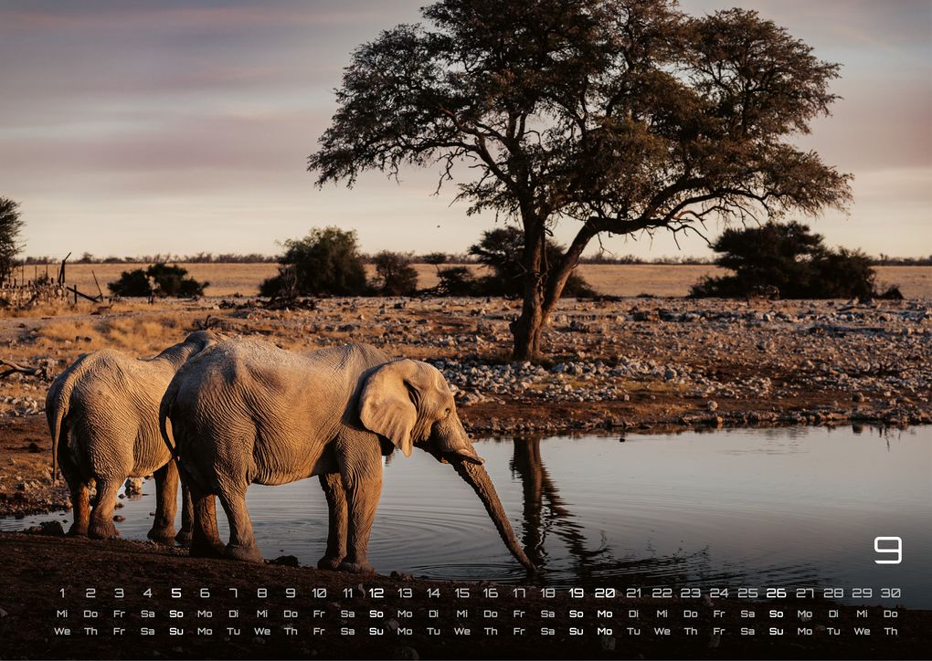 Weitere Ansicht: Elefanten - einzigartige Giganten - 2027 - Kalender DIN A3
