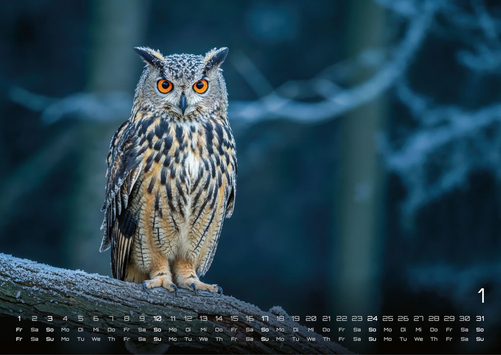 Weitere Ansicht: Eulen - Wächter der Nacht - 2027 - Kalender DIN A3
