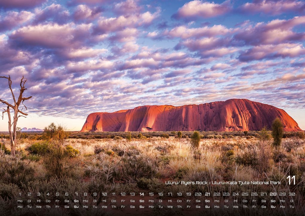 Weitere Ansicht: Australien - das Land der Kängurus - 2027 - Kalender DIN A2