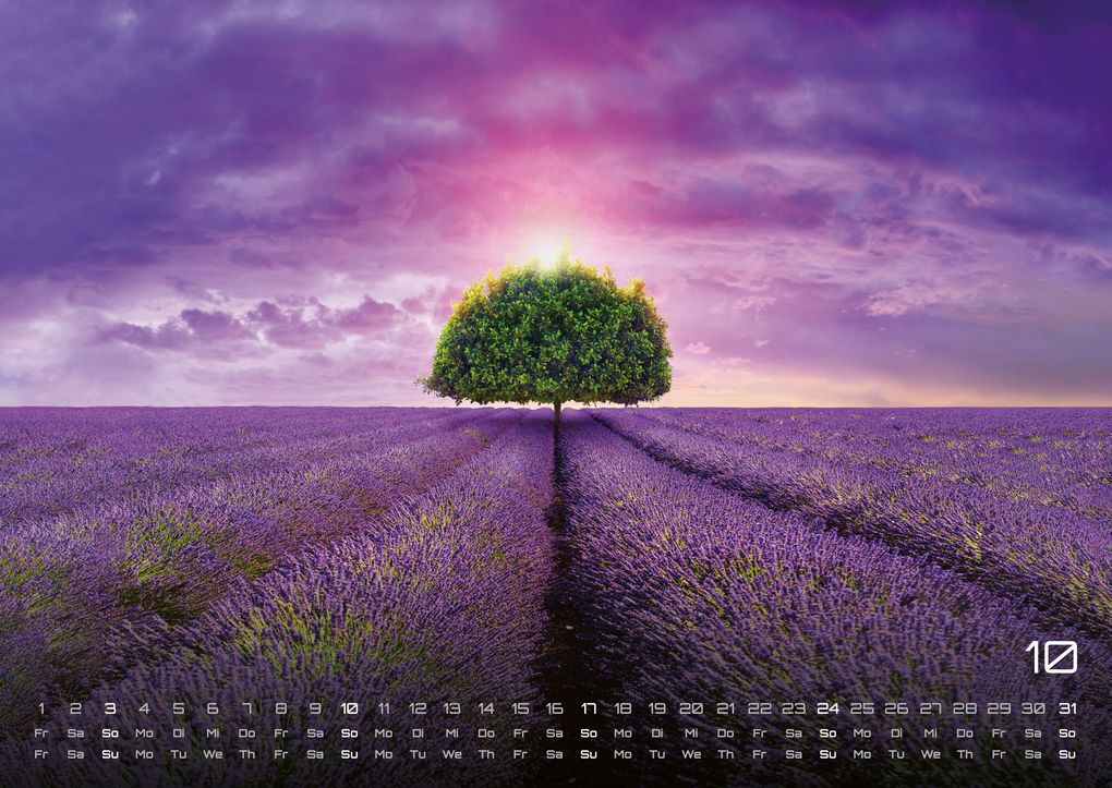 Weitere Ansicht: Provence - ein besonderes Stück Frankreich - 2027 - Kalender DIN A2