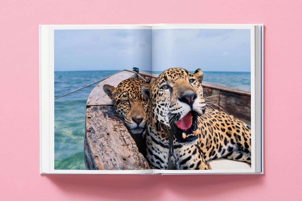 Weitere Ansicht: National Geographic