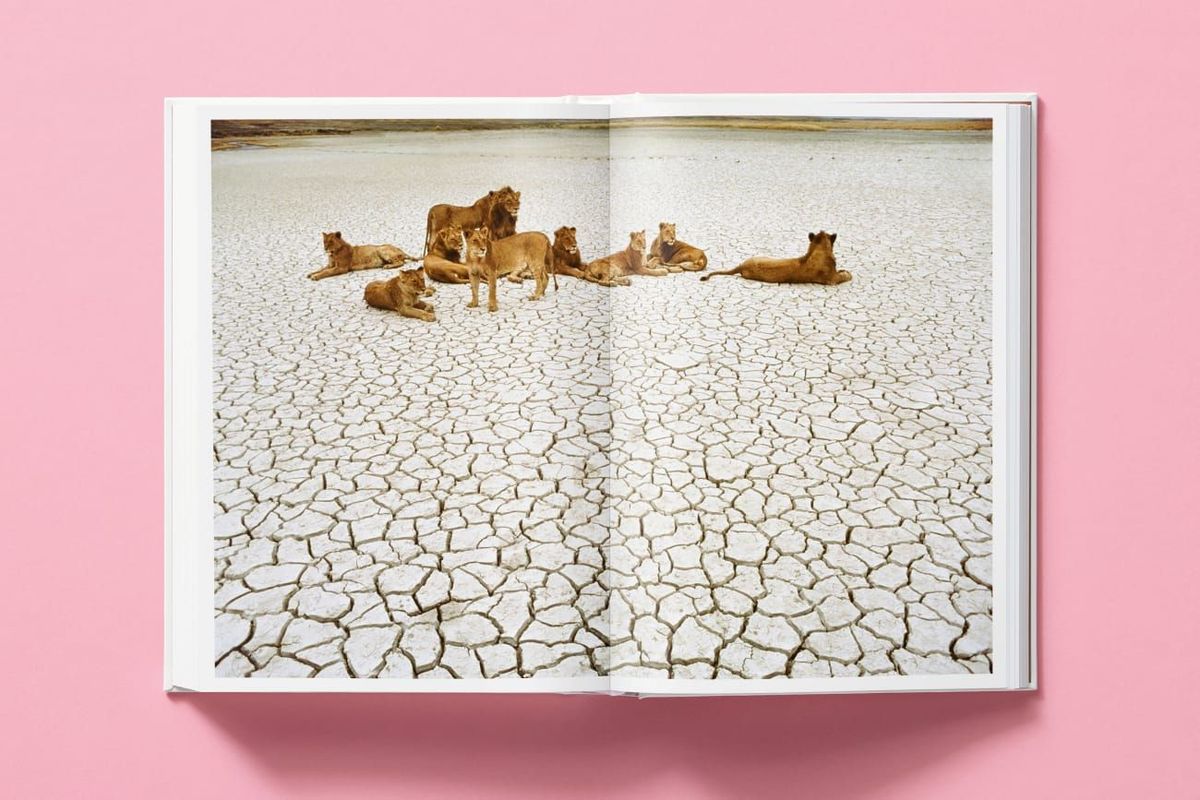 Weitere Ansicht: National Geographic