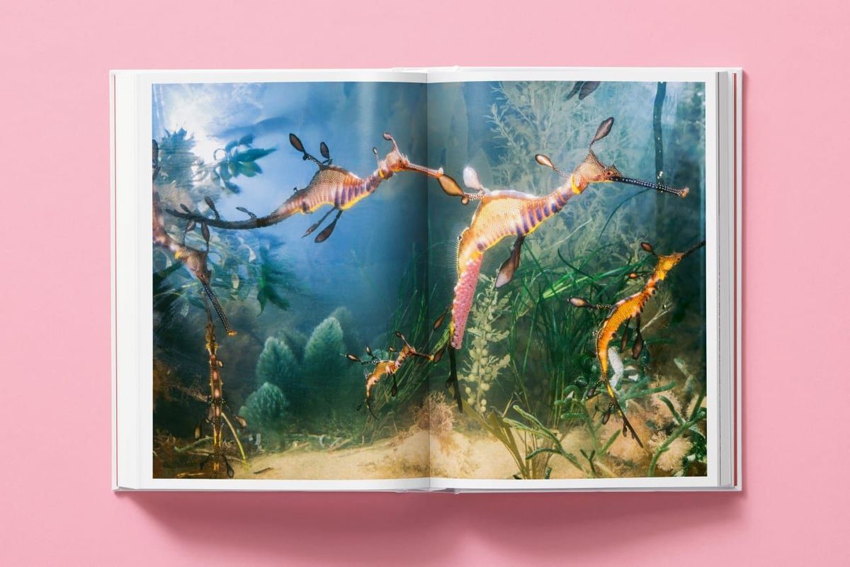 Weitere Ansicht: National Geographic