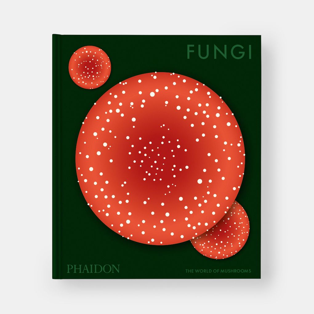 Weitere Ansicht: Fungi | Editors Phaidon, Francesca Gavin