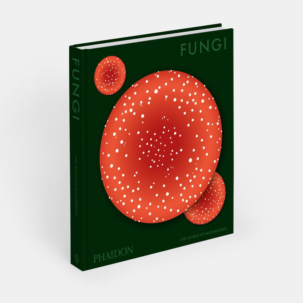 Weitere Ansicht: Fungi | Editors Phaidon, Francesca Gavin