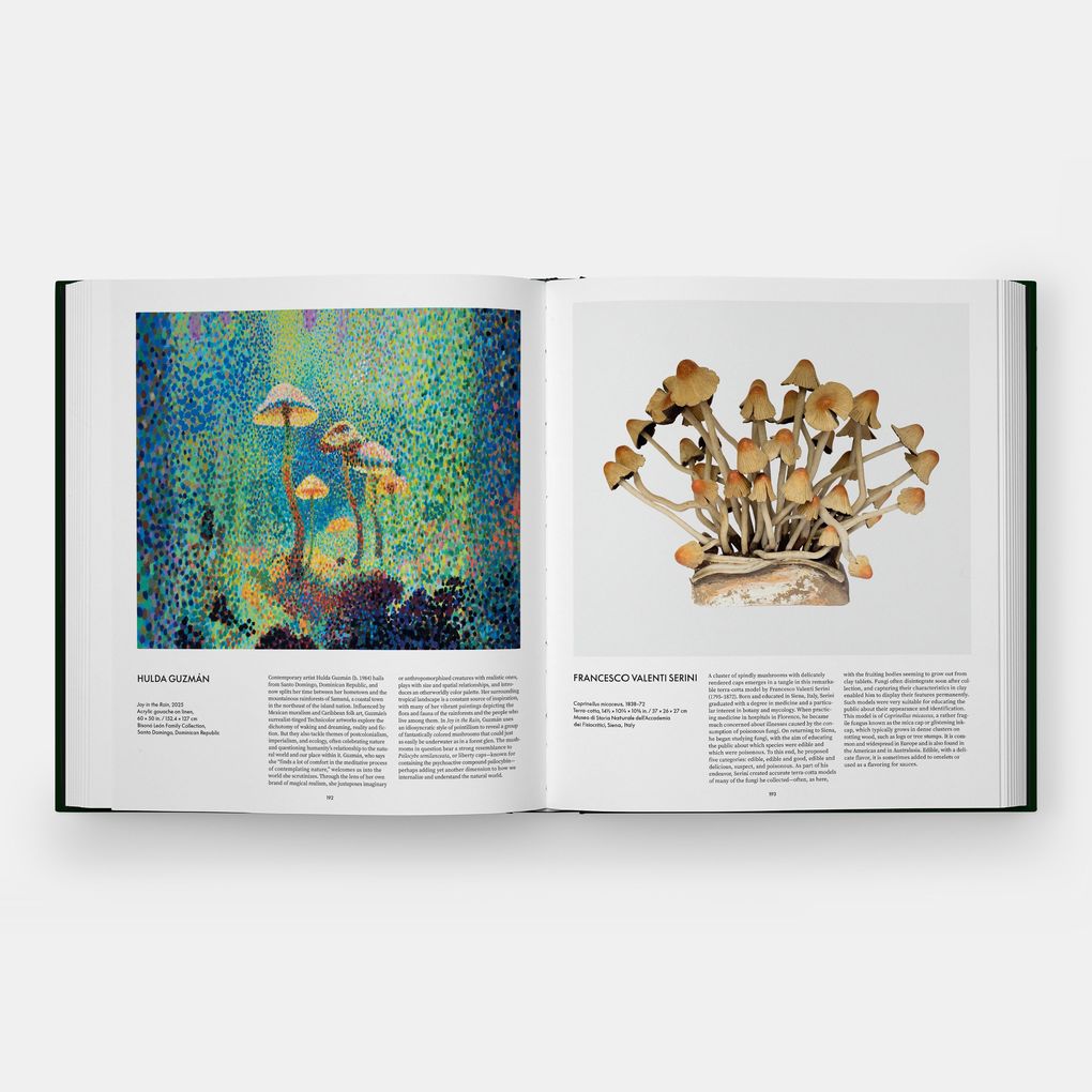 Weitere Ansicht: Fungi | Editors Phaidon, Francesca Gavin