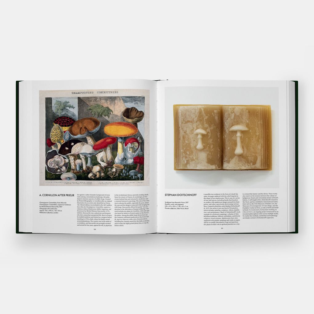 Weitere Ansicht: Fungi | Editors Phaidon, Francesca Gavin