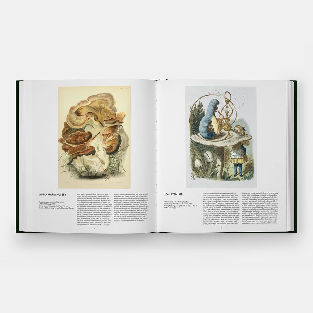 Weitere Ansicht: Fungi | Editors Phaidon, Francesca Gavin