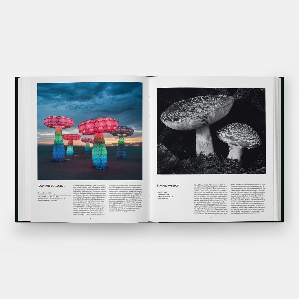 Weitere Ansicht: Fungi | Editors Phaidon, Francesca Gavin