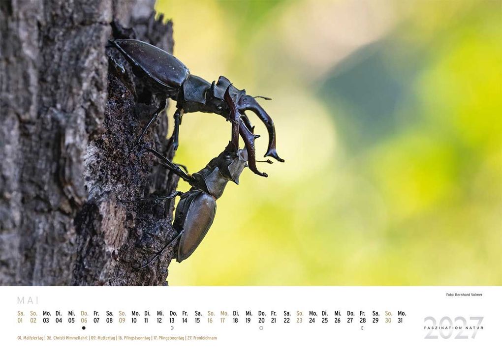 Weitere Ansicht: WUH EDITION: FASZINATION NATUR KALENDER 2027