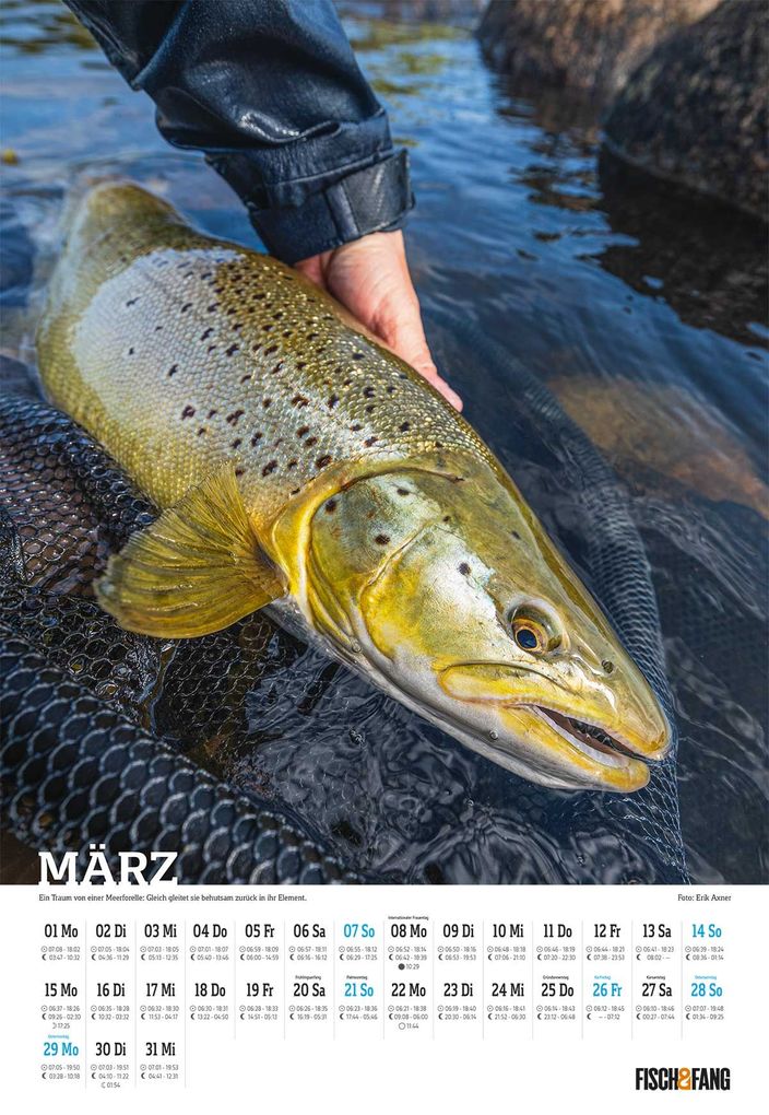 Weitere Ansicht: Fisch & Fang Edition : Anglerkalender 2027