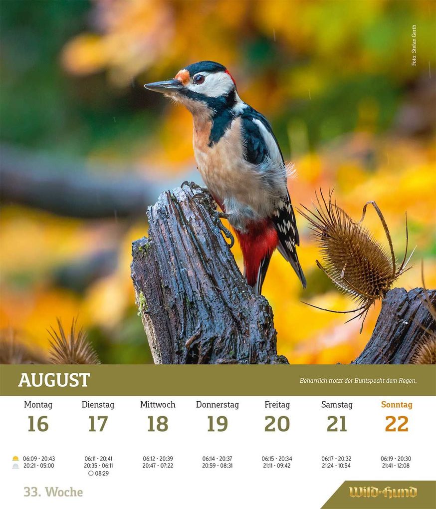 Weitere Ansicht: WILD UND HUND Edition: Jagdkalender Wandvariante 2027