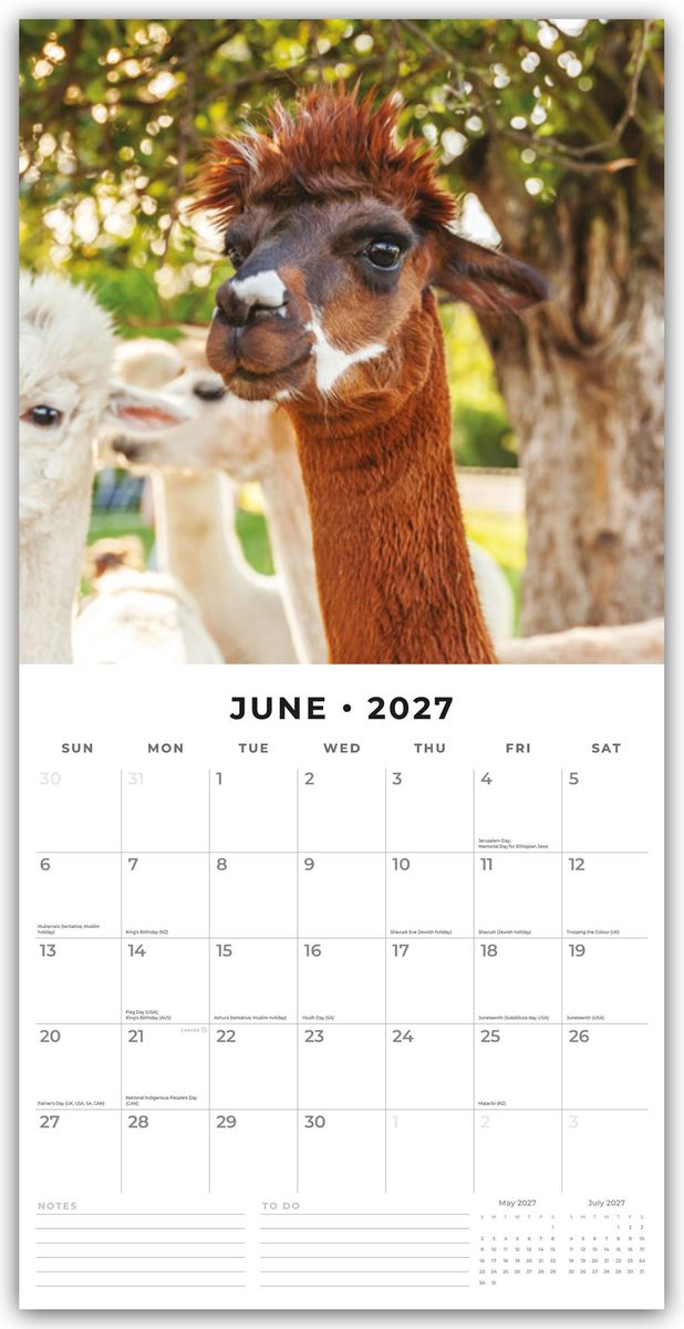 Weitere Ansicht: Alpacas - Alpakas 2027 - 16-Monatskalender | Robin Red