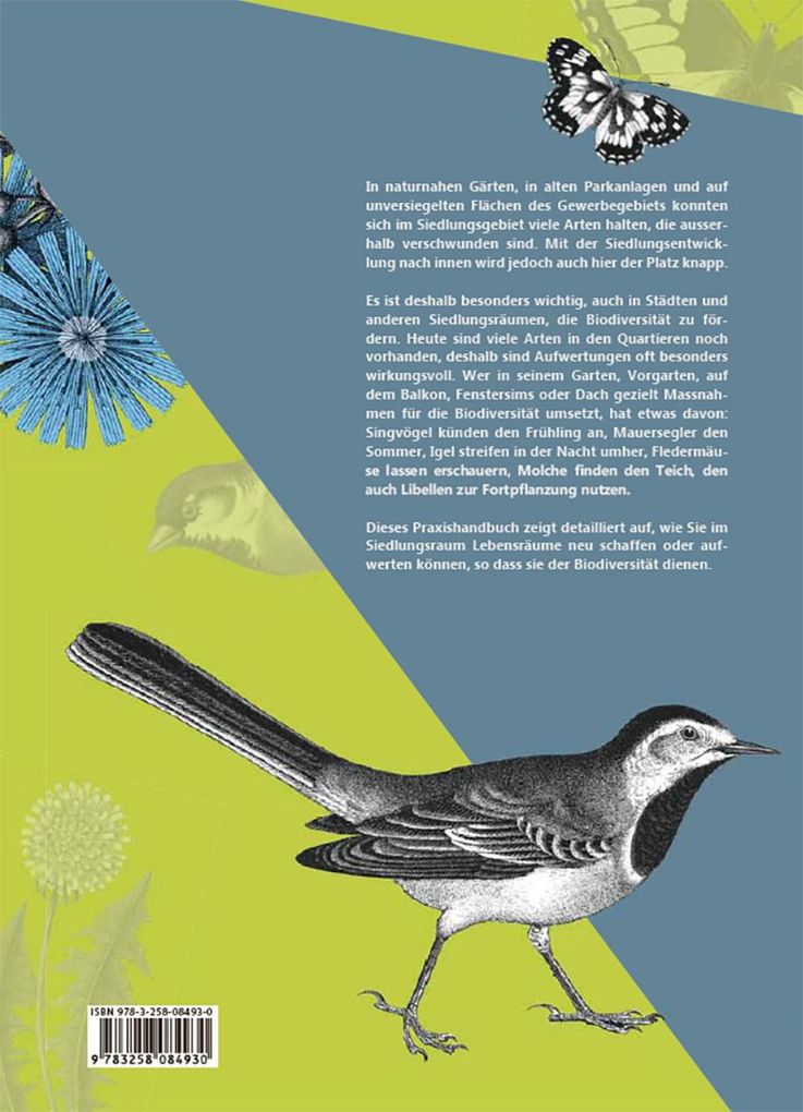 Weitere Ansicht: Praxishandbuch Stadtnatur | Sabine Tschäppeler, Andrea Haslinger